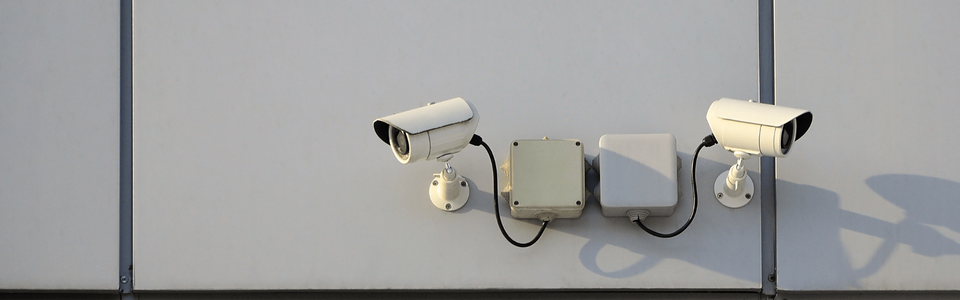 Prevención del crimen y criminología: cómo actuar antes de que ocurra